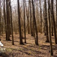 Black River Preserve images 5