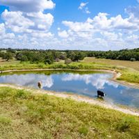 Bastrop Home Place