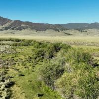 Needle Creek Ranch images 4