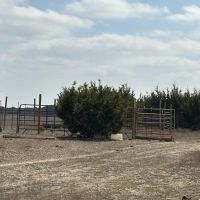 493 County Road 204 Burnet Texas 78611 images 3