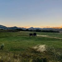 Wildhorse Ranch Northfork Nevada images 3