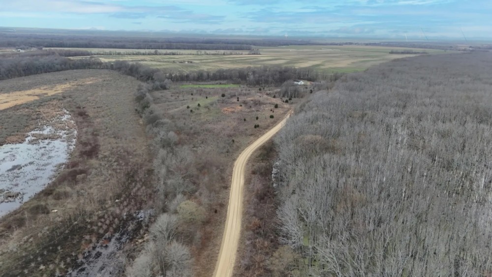 18 Acres in Leflore County MS featured image