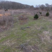 18 Acres in Leflore County MS images 4