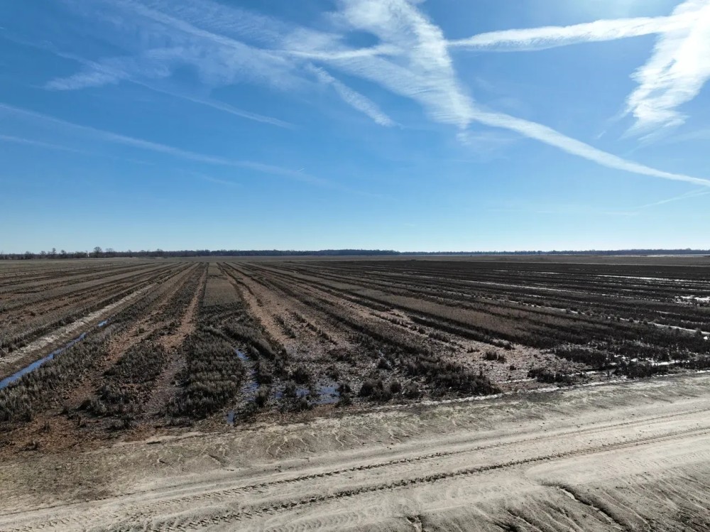 Dry Bayou Farm featured image
