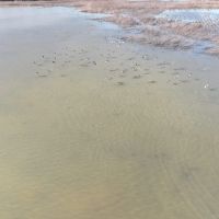 Dry Bayou Farm images 4