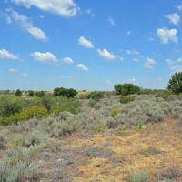 159 Acre Oklahoma Hunting Land and Farm in Grandfield OK images 2