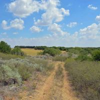 159 Acre Oklahoma Hunting Land and Farm in Grandfield OK images 4