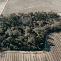 120 - Acres of Prime Agricultural and Recreational Land in Early County Georgia images 2