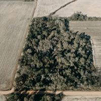 120 - Acres of Prime Agricultural and Recreational Land in Early County Georgia images 3