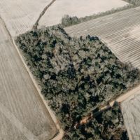 120 - Acres of Prime Agricultural and Recreational Land in Early County Georgia images 4