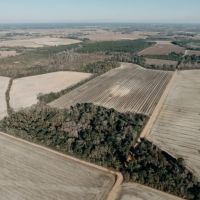 120 - Acres of Prime Agricultural and Recreational Land in Early County Georgia images 5