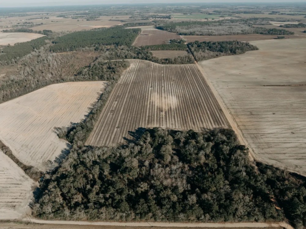 120 - Acres of Prime Agricultural and Recreational Land in Early County Georgia featured image