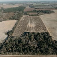 120 - Acres of Prime Agricultural and Recreational Land in Early County Georgia
