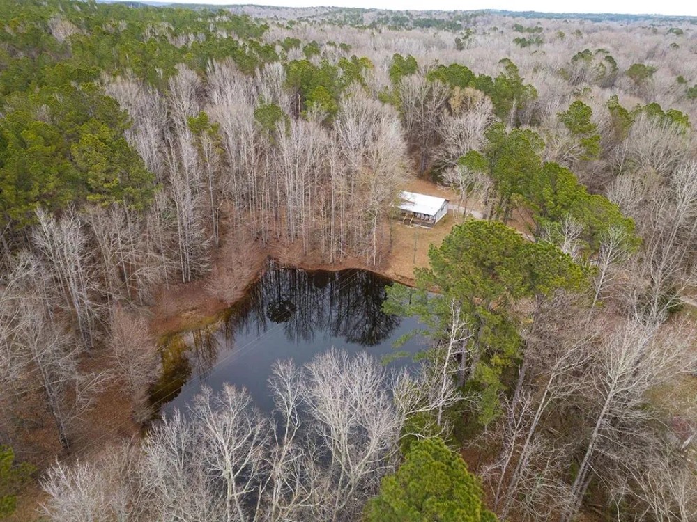 40.33 Acres with 3 Homes in Holmes County MS featured image