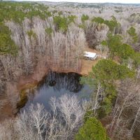 40.33 Acres with 3 Homes in Holmes County MS
