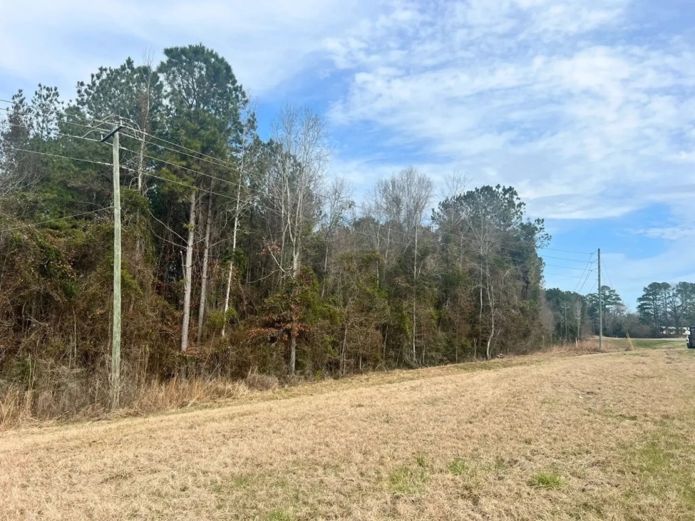 19 Acres in Jasper County MS featured image