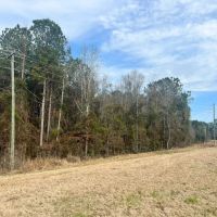 19 Acres in Jasper County MS
