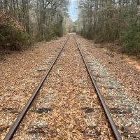 19 Acres in Jasper County MS images 4