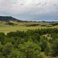 Currant Creek 255