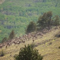 Currant Creek 255 images 5