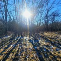 Charming Riverfront Property images 3