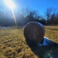 Charming Riverfront Property images 5