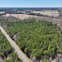 15.98 acres of Recreational Creek Front Land For Sale in Pitt County NC images 2