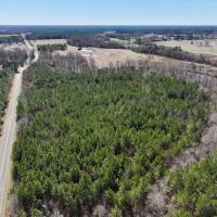 15.98 acres of Recreational Creek Front Land For Sale in Pitt County NC images 3
