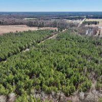 15.98 acres of Recreational Creek Front Land For Sale in Pitt County NC images 4