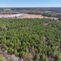 15.98 acres of Recreational Creek Front Land For Sale in Pitt County NC images 5