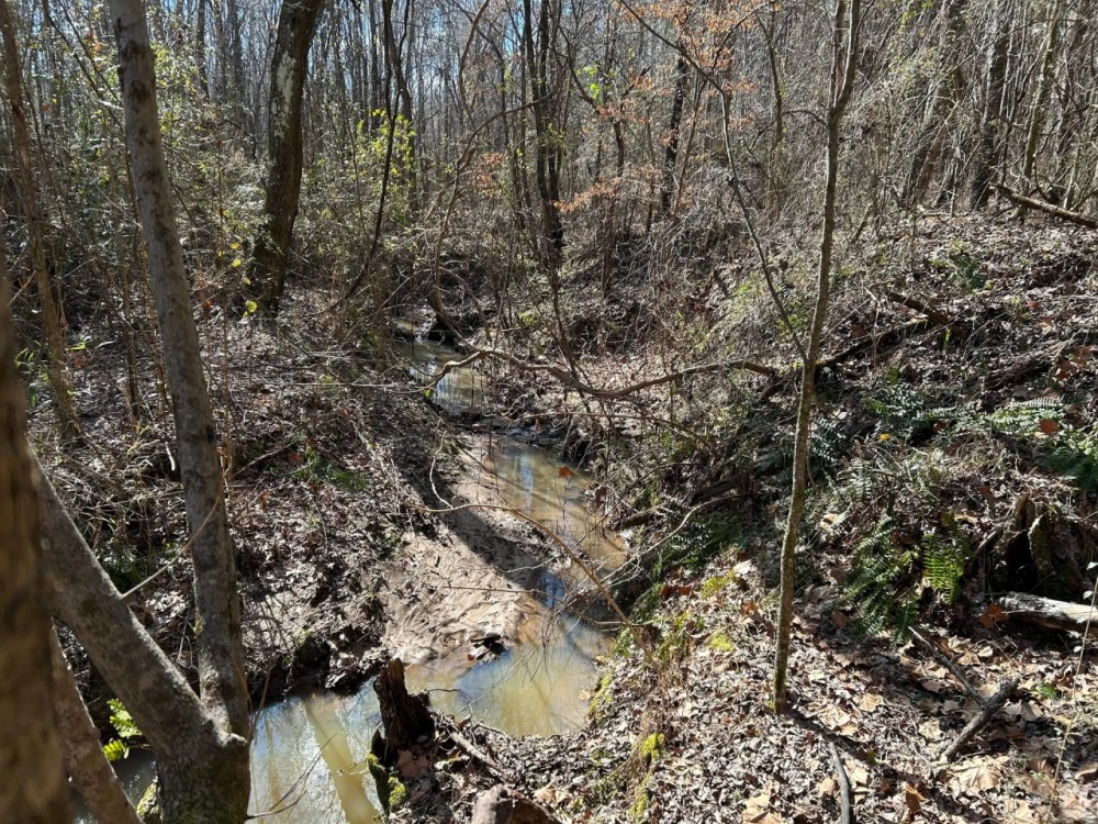 92.1 Acres in Yalobusha County MS featured image