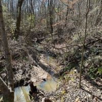 92.1 Acres in Yalobusha County MS