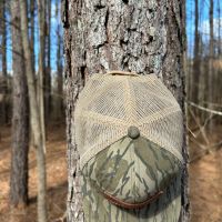 92.1 Acres in Yalobusha County MS images 5
