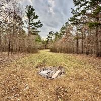 80 Acres in Benton County MS