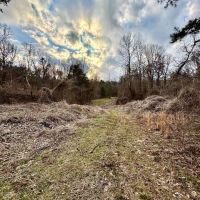 80 Acres in Benton County MS images 3