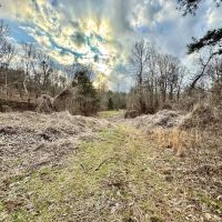 80 Acres in Benton County MS images 4