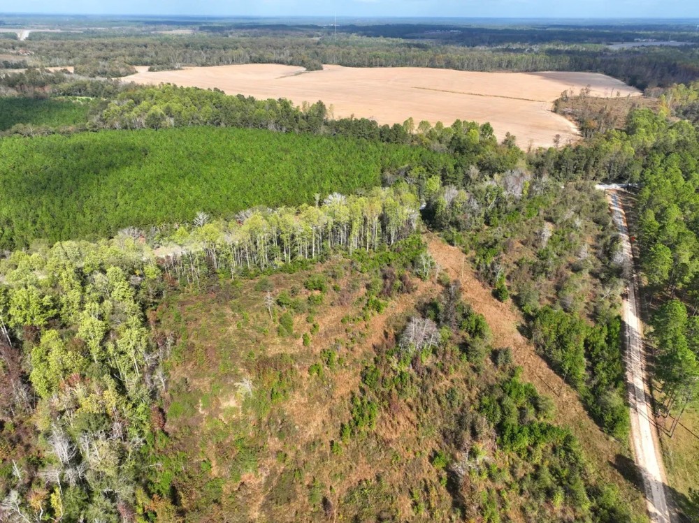 156 - Ac Land for Sale Dodge County GA featured image