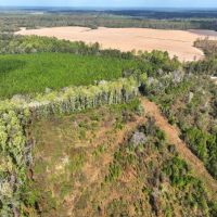 156 - Ac Land for Sale Dodge County GA