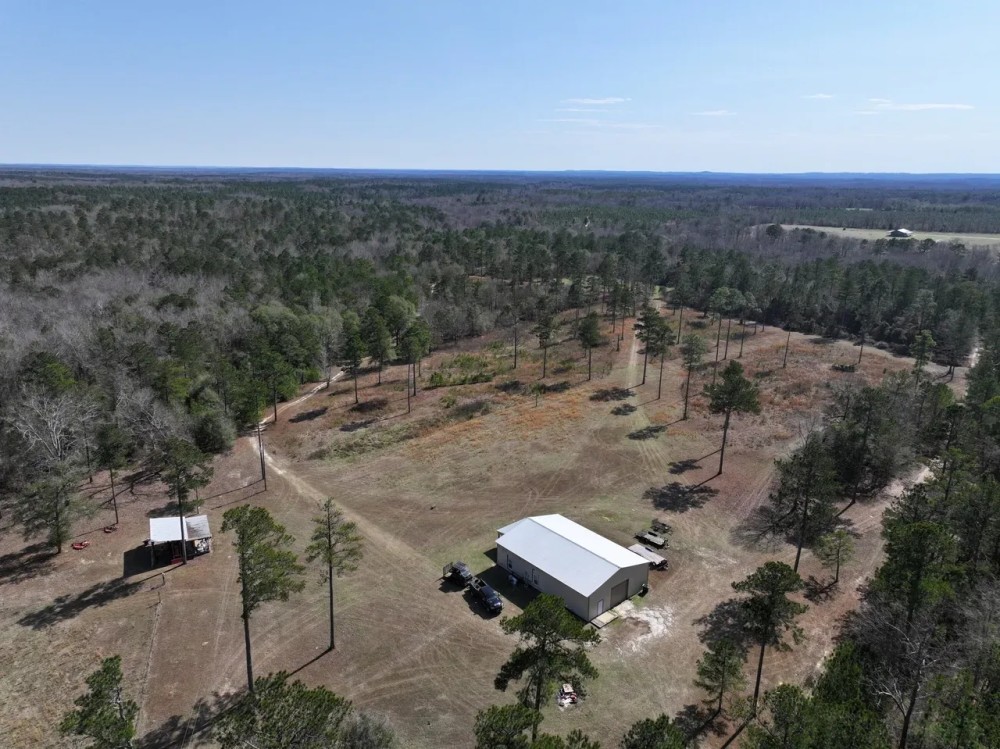 183 Acres in Bullock County featured image