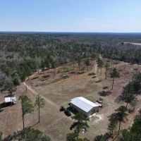 183 Acres in Bullock County