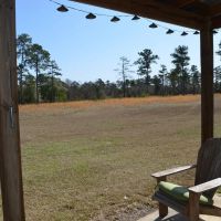 183 Acres in Bullock County images 3