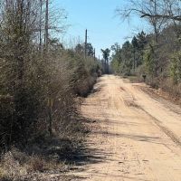 90 acre- Chipola River Retreat Spacious 2 080 SF Home on Agricultural Land images 2
