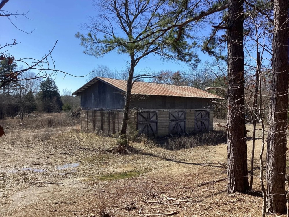 16.2 Acres in Polk County AR featured image