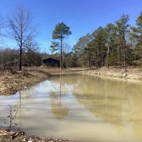 16.2 Acres in Polk County AR images 2