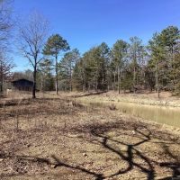 16.2 Acres in Polk County AR images 3