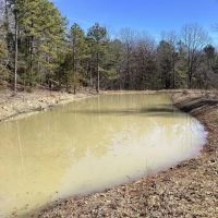 16.2 Acres in Polk County AR images 4