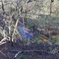 MS - Amite 42 acres - images 5