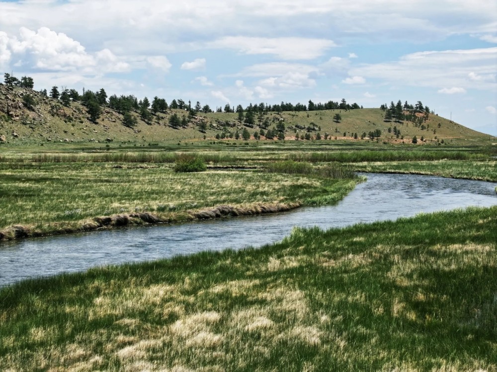 Paradise View Ranch at Arrowhead Ranch featured image