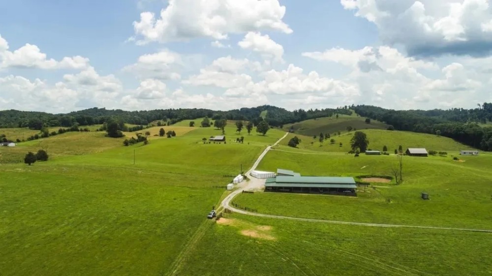 Stunning Cattle Ranch For Sale in Southwest VA featured image
