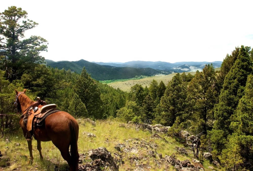 NHN Lower Valley Rd featured image